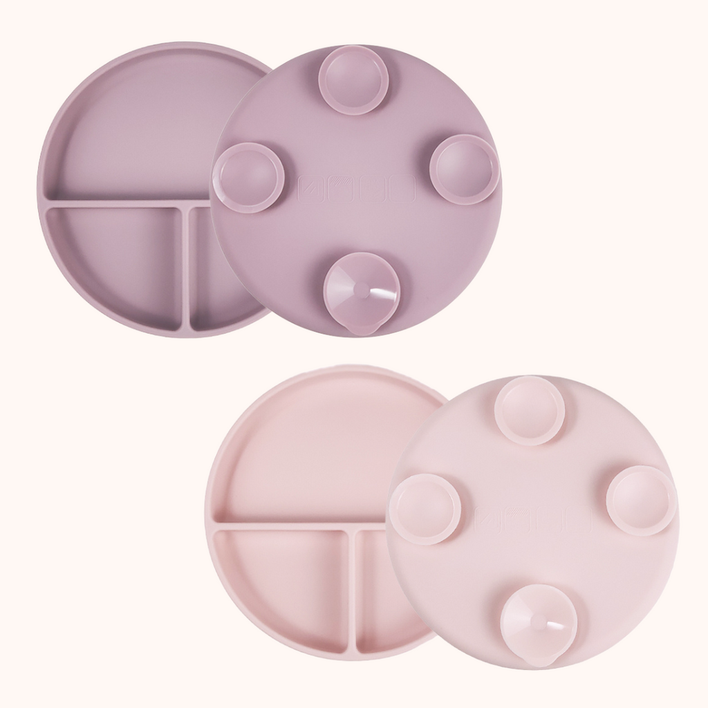 Lavender & Blush - Pratos com Ventosas