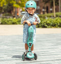 Trotinete evolutiva 2 em 1 Scoot & Ride Highwaykick 1 forest