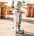 Trotinete evolutiva 2 em 1 Scoot & Ride Highwaykick 1 steel